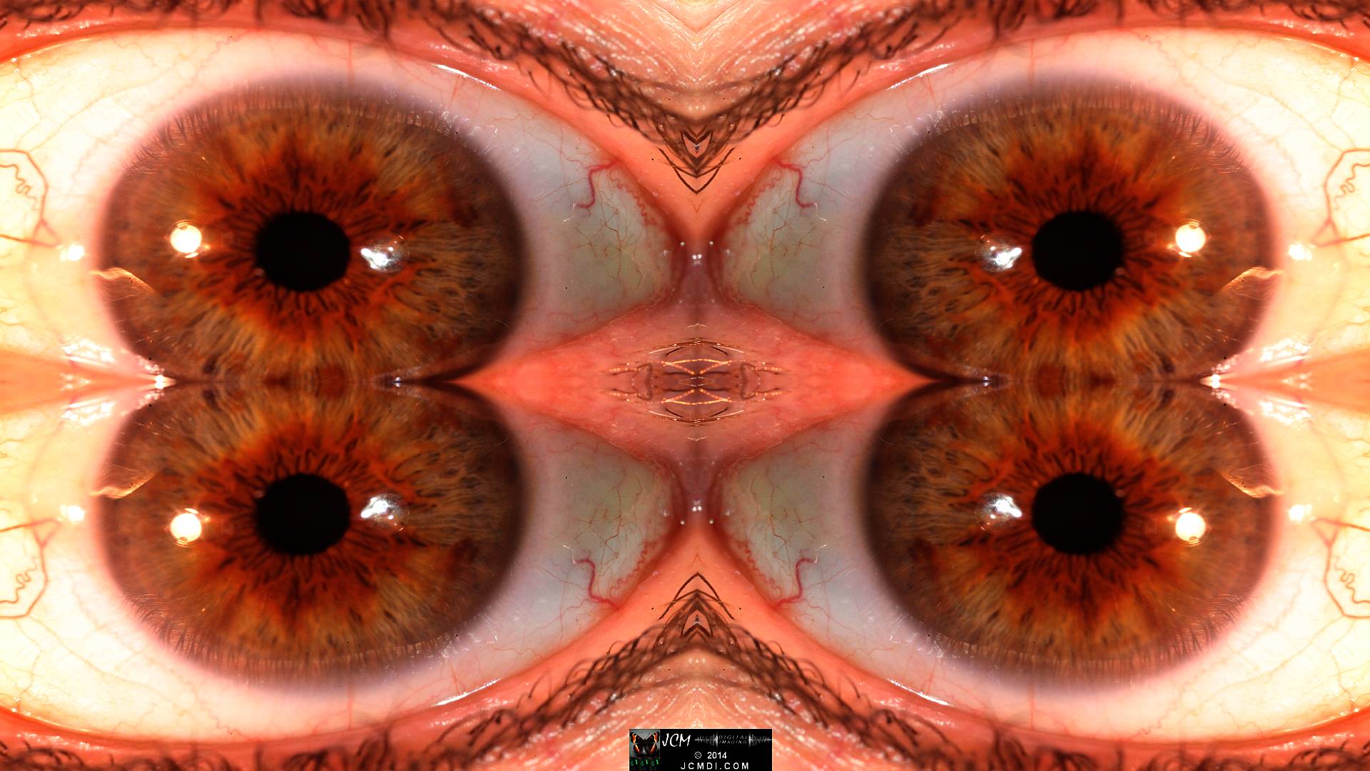 Quadroscopic Artwork made from an image of a real human eye